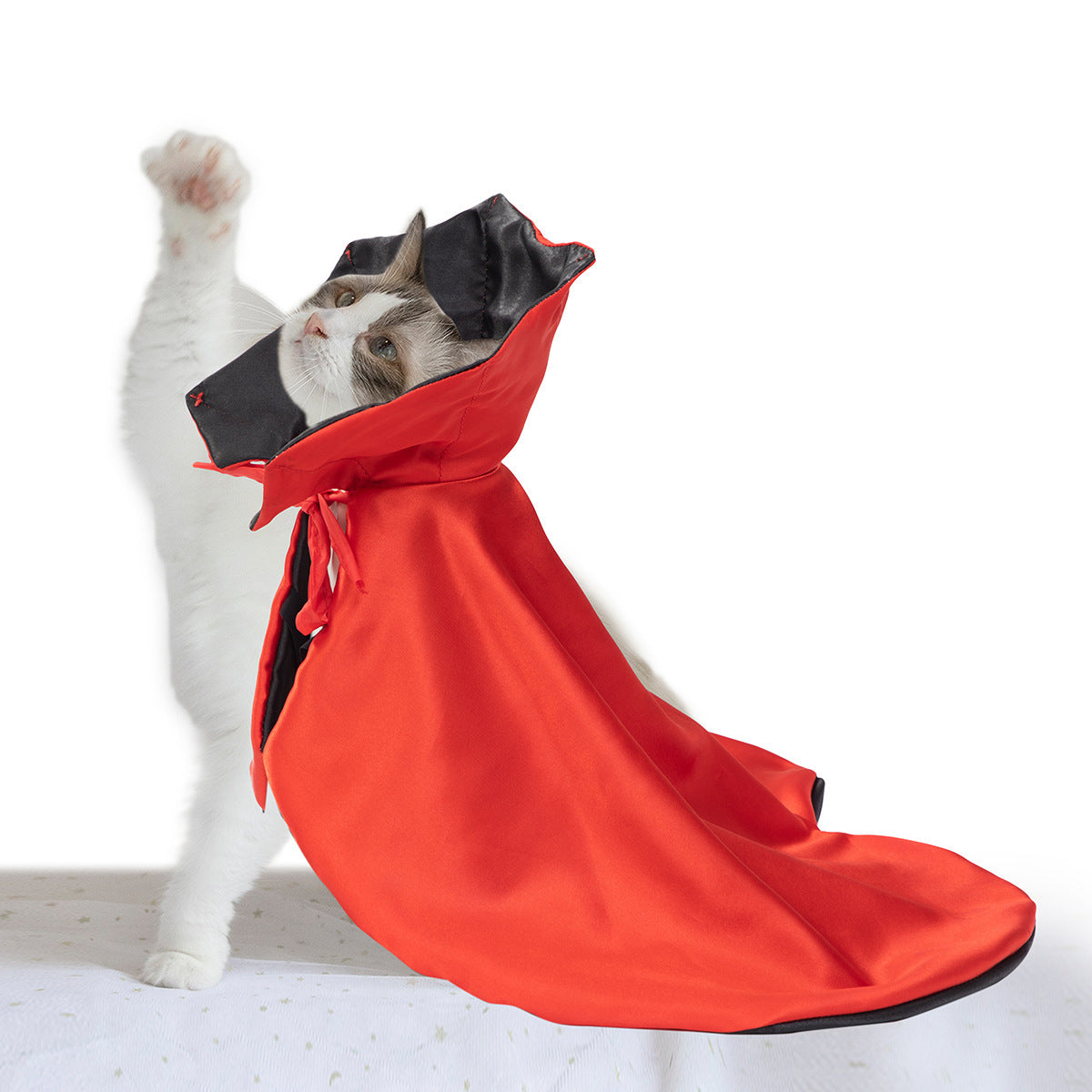 Pet Supplies Halloween Atmosphere Cloak - Tumbler World